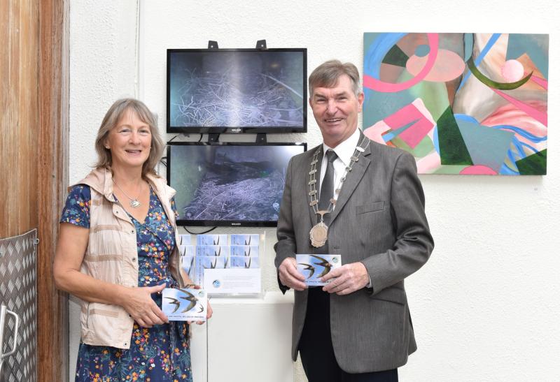 Linenhall welcomes swift chicks