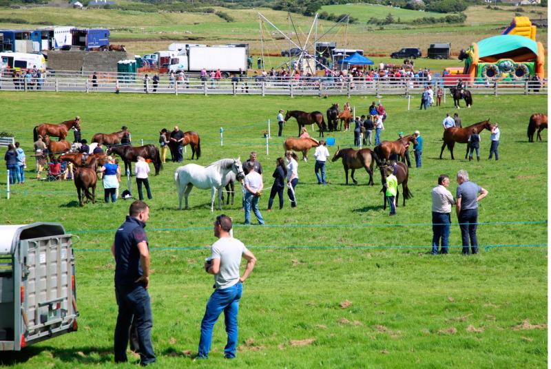 Louisburgh Horse & Pony Show to take place on Sunday