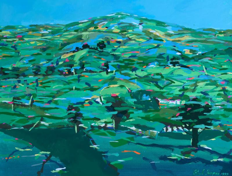 Prestigious RHA West exhibition set to open in Ballina
