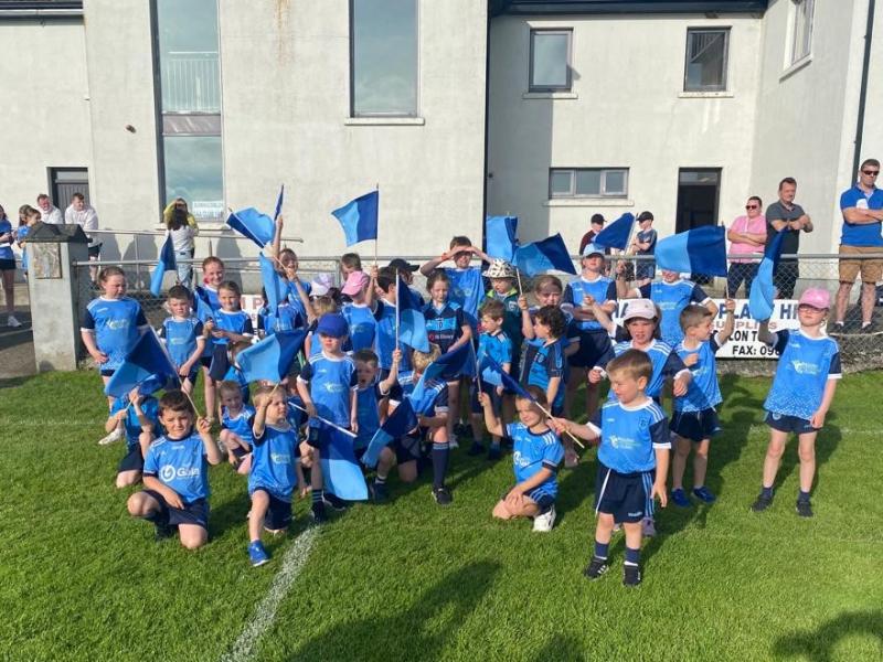 Davitts dig out crucial win in Bonniconlon