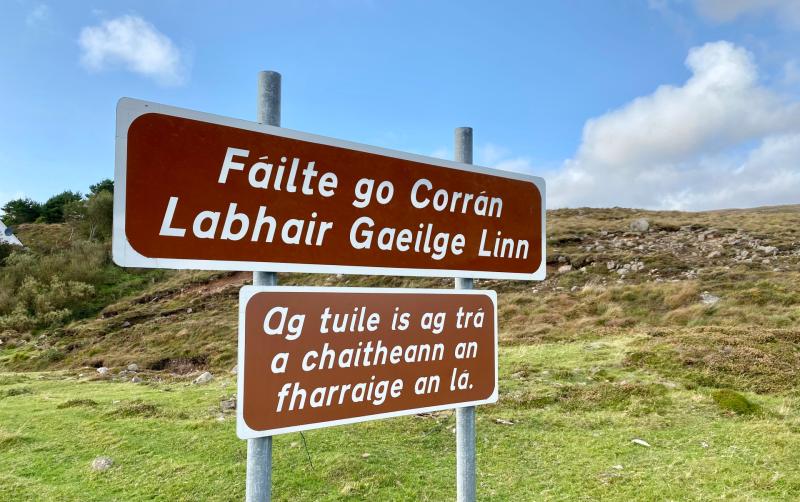 DAD DIARY:  The cúpla focail