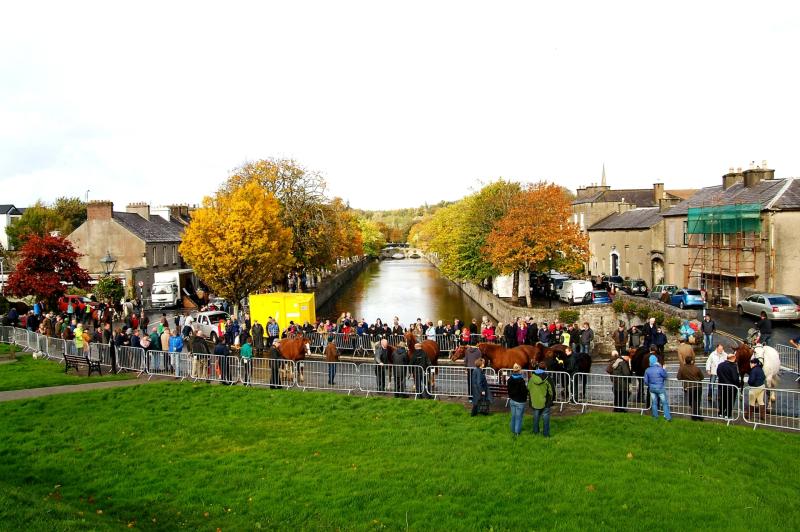 Council and horse fair organisers at odds over newspaper advertisement