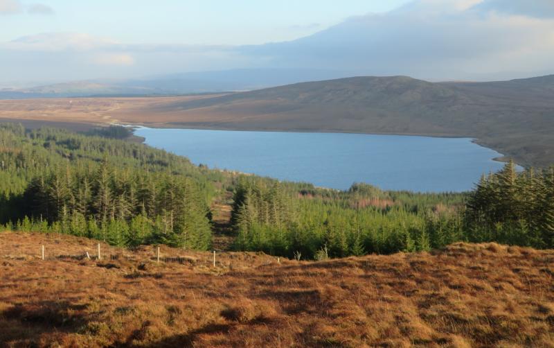 TOWNLAND TALES: Getting to grips with grassy places in Murrisk Barony