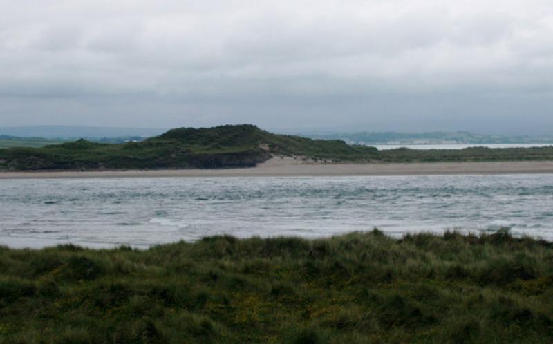 Councillor calls for cull of Moy seals 