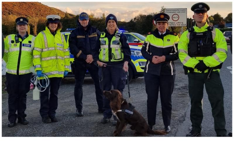 Assassination attempts to dutiful detection dogs - Garda report marks 100 years of keeping people safe