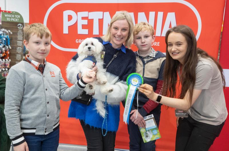 Westport puppy represents local store at Petmania's Puppy of the Year competition
