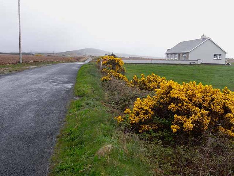 Vodafone to investigate poor mobile coverage in Erris after councillor receives several complaints