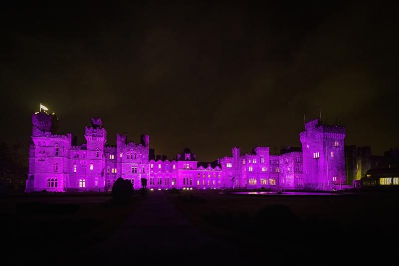 Ashford Castle Purple