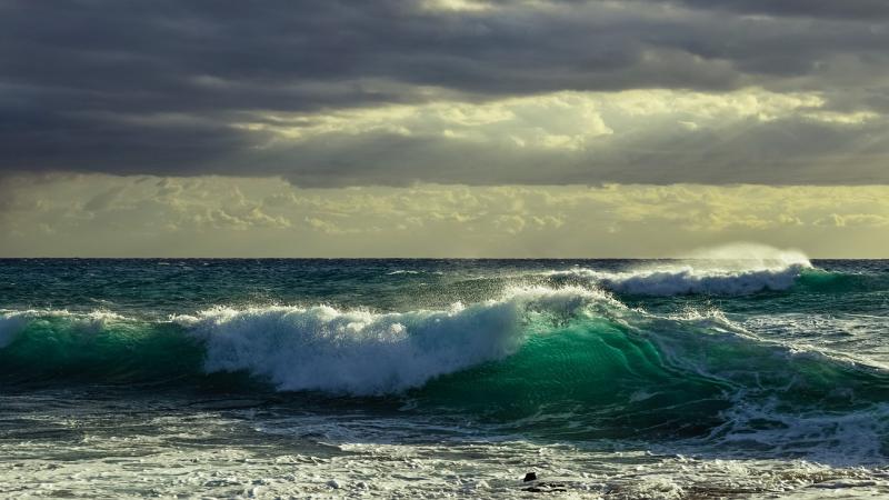 STORM ÉOWYN: How to get ready before the storm hits Mayo