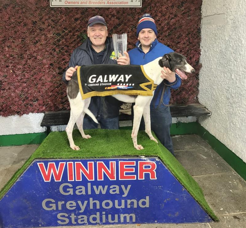 Kilkelly greyhound race wins in Galway