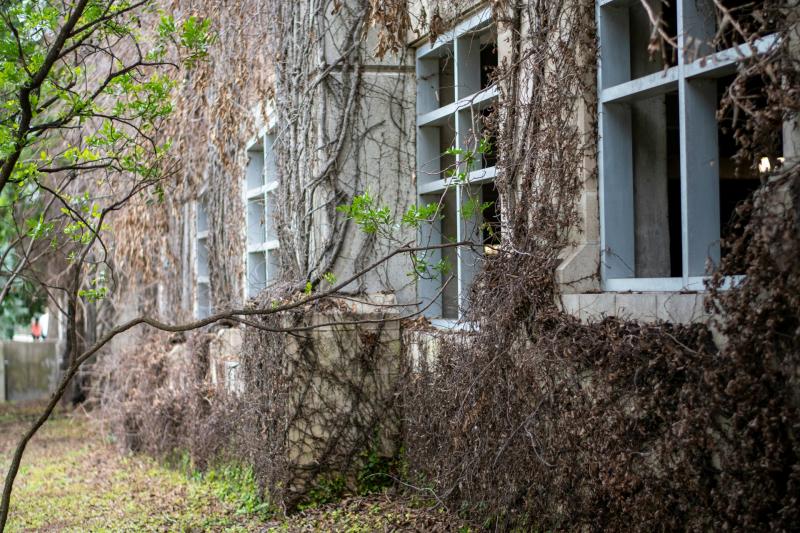 Information session to be held in Ballina on schemes available to vacant building owners 