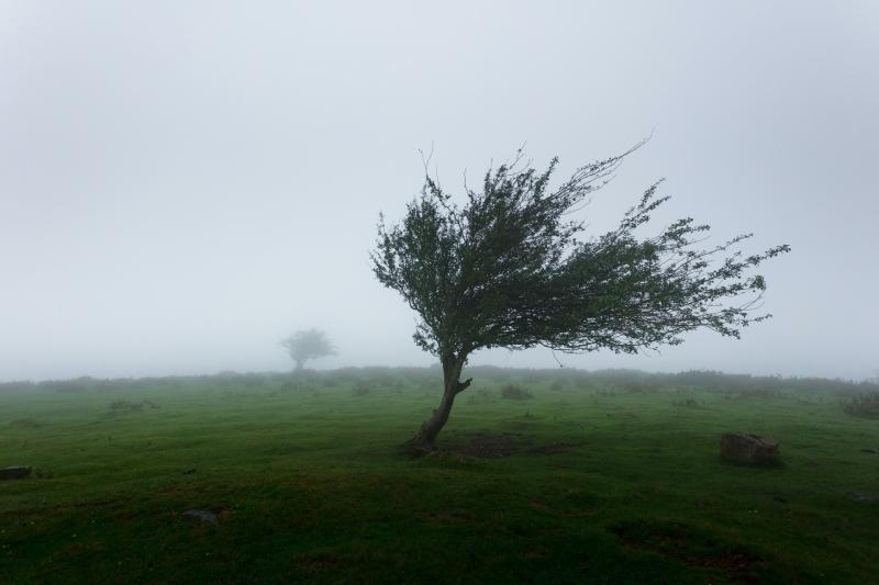 Met Éireann issues warnings with five counties pinpointed for battering 