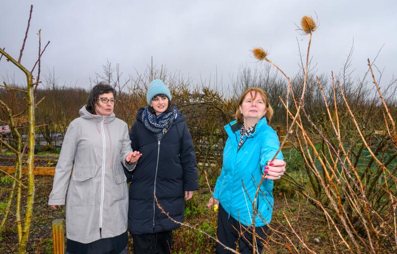 Westport food security project announced as winner of Trinity community climate action collaboration