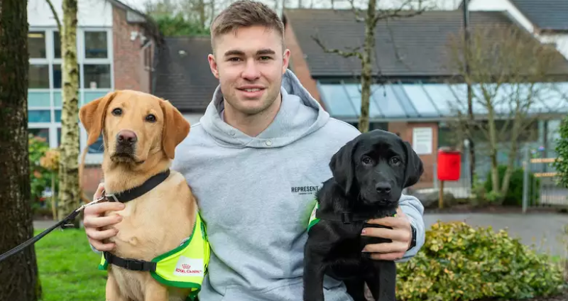 Irish Guide Dogs for the Blind are looking for puppy raisers