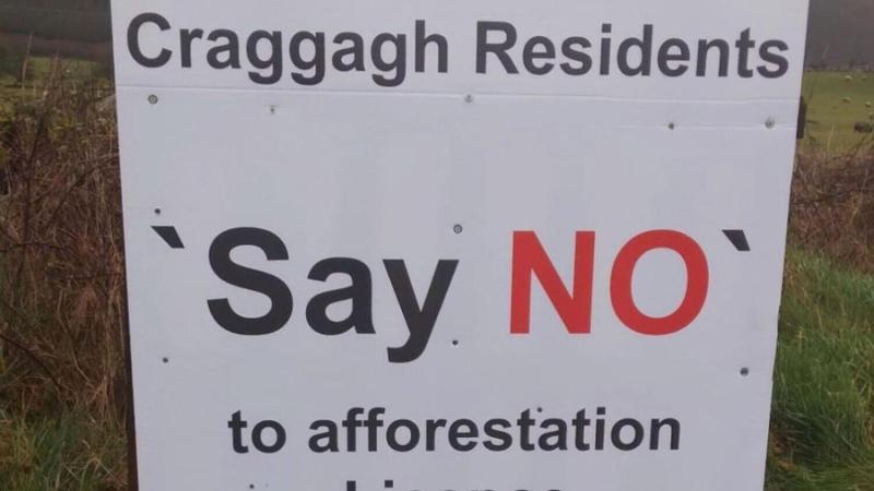 Mayo councillors want council planners to have more of a say on whether to grant licence for forest