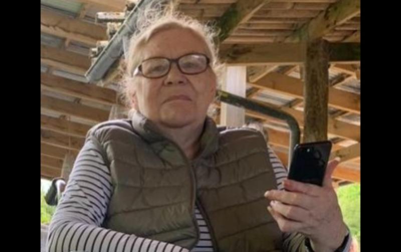 Garda search for missing 65-year-old woman concludes