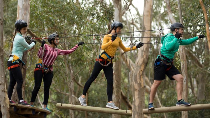 New Mayo outdoor park on Westport estate opens in May