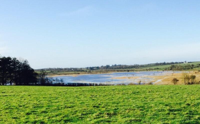 Calleary welcomes pause on all non-essential agricultural inspections