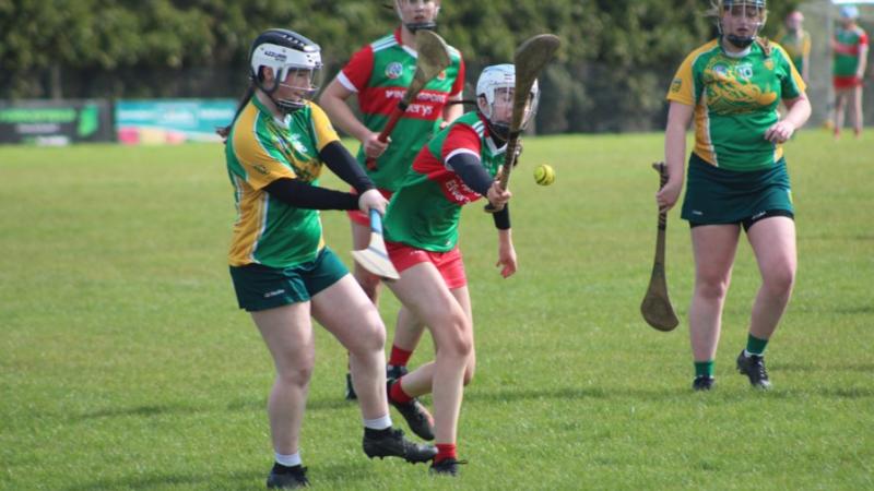 Mayo Minor camogie team close in on All-Ireland semi-final with impressive win over Donegal