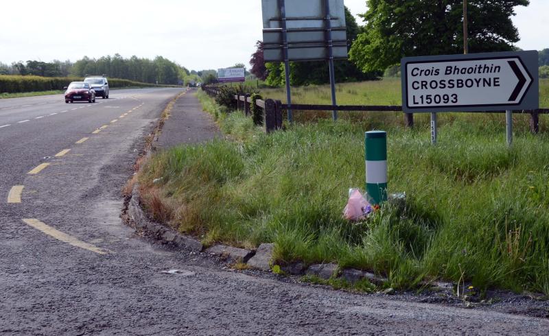 N17 road death