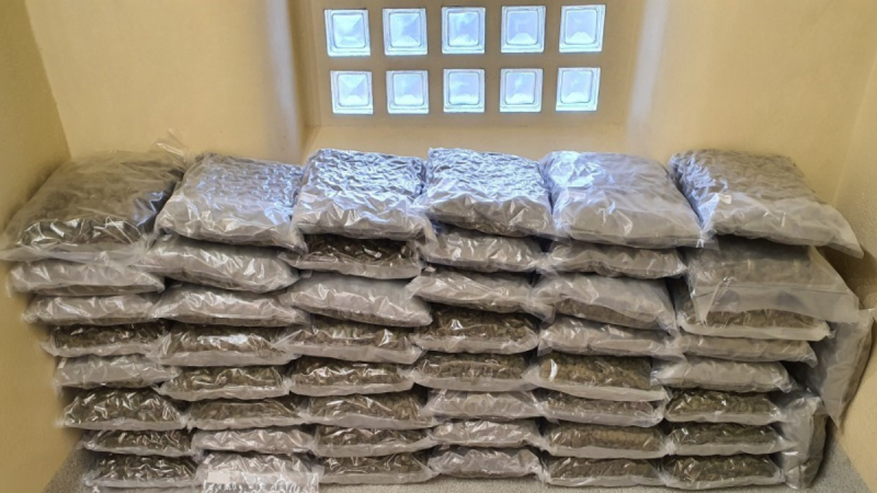 Gardaí seize €1m worth of vacuum-packed cannabis from warehouse in Meath
