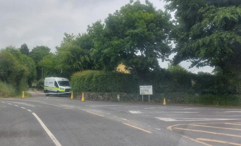 Tributes paid to young woman killed in dog attack in Limerick