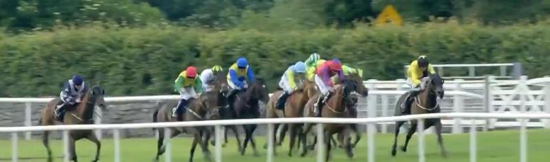 WATCH: Cruel irony as horse called Mayo for Sam loses at the line in Ballinrobe