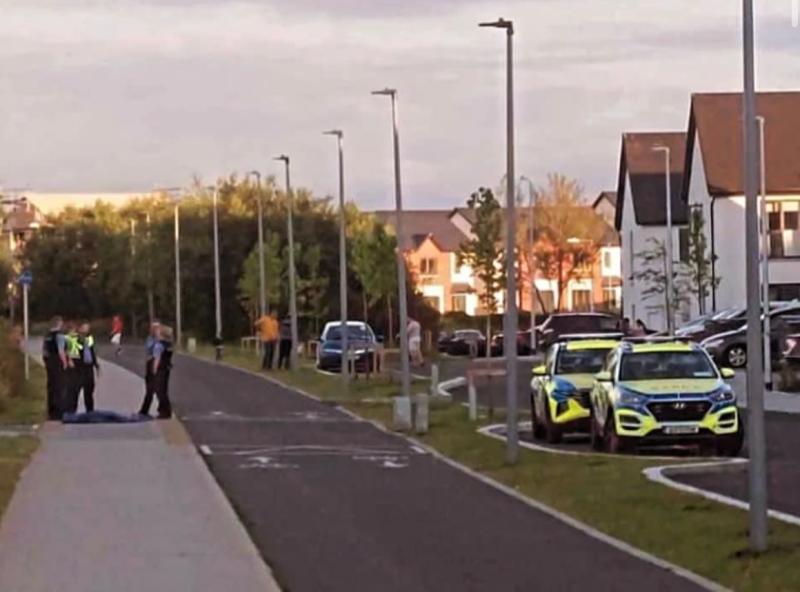 Dog destroyed after mother and child witness gruesome attack in Limerick