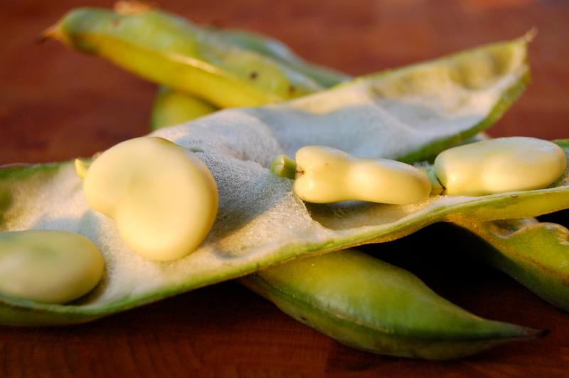 FOOD:  A light summer pasta and a delicious dessert 