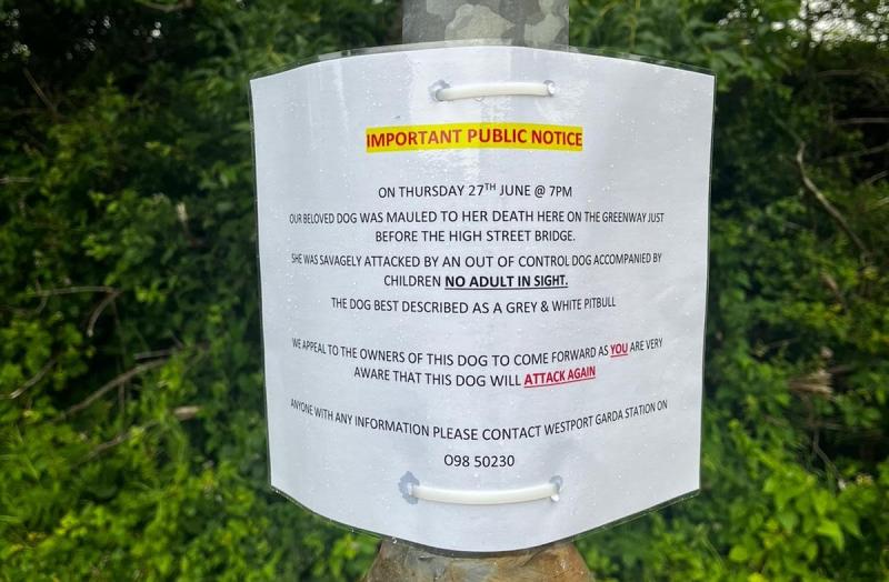 Mayo Gardaí seeks witnesses to savage fatal dog attack on Greenway