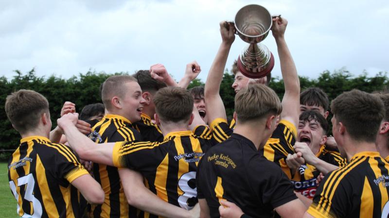 Parke come from behind to beat Castlebar Mitchels in West Mayo Minor final 