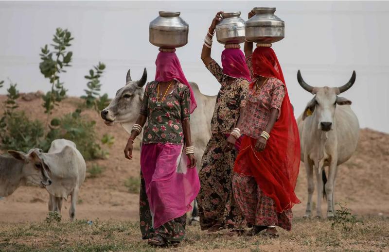 CULTURE:  Westport photographer brings India to Galway