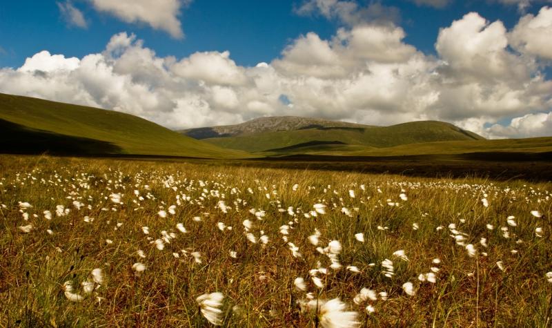 The Wild Nephin National Park in Ballycroy is the least Instagrammable in Ireland