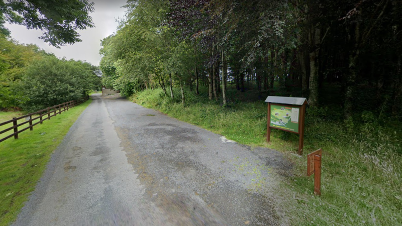 Progress welcomed for Mayo woodlands enhancement scheme