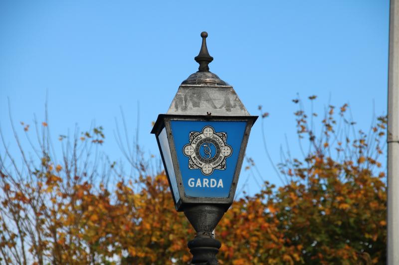 Gardaí appeal for witnesses as man killed after car enters canal 