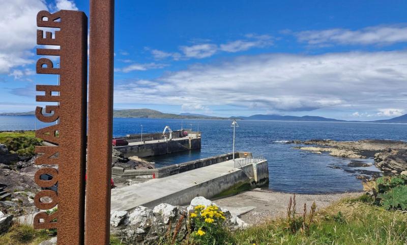 Mayo charity swim cancelled due to safety concern
