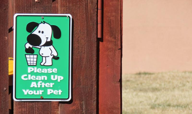 Carlow dog owners encouraged to 'Clear Our Paths' as part of Vision Ireland campaign