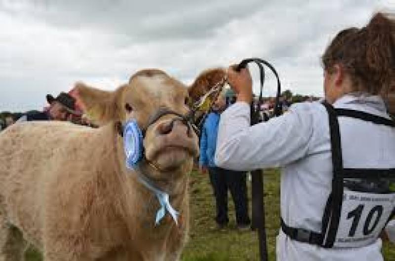 Swinford Agricultural Show has been cancelled