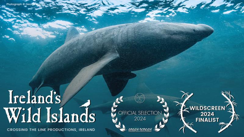 Mayo based production company nominated for prestigious awards