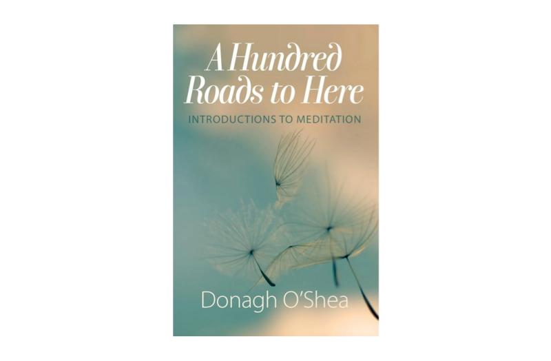 COMMENT:  Meditating into winter