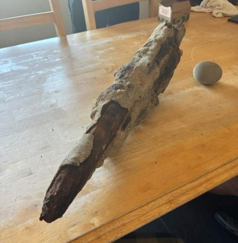 Ballycroy father and son find Spanish Armada gun