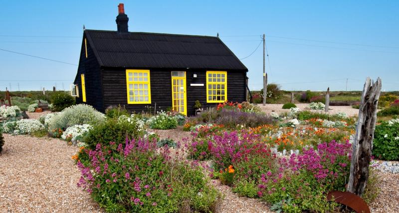 GARDENING: How to create a coastal garden in Mayo