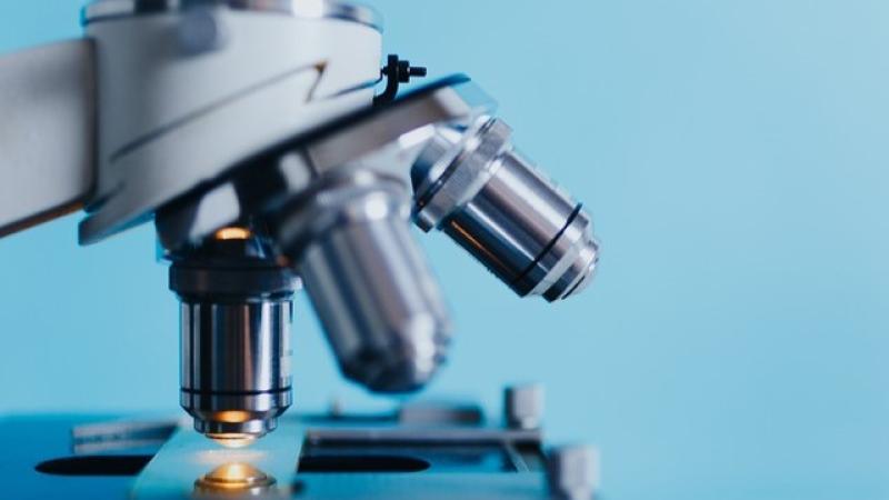 Science Week set to ‘ignite’ Mayo with funding boost