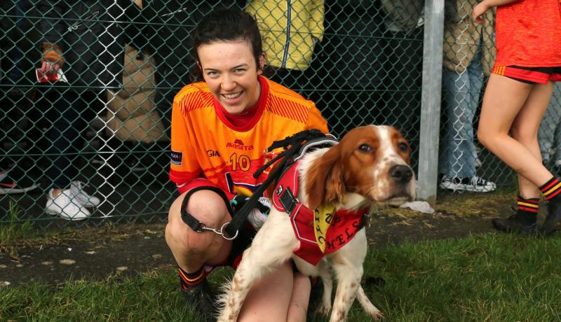A dog groomers life for Gr&aacute;inne Flynn