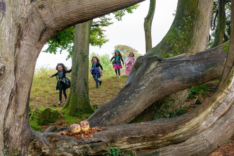 National Museum of Ireland at Turlough unveils Halloween programme