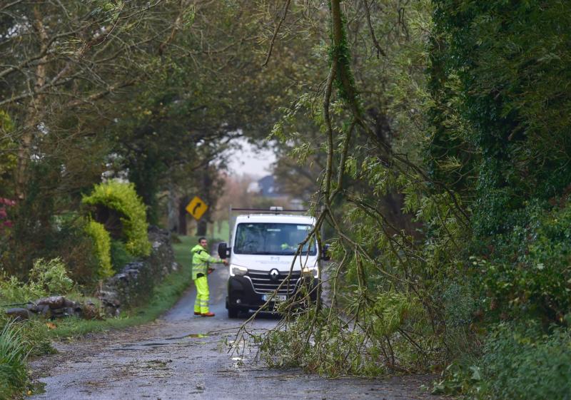 Mayo councillors have called for trees near powerlines to be felled