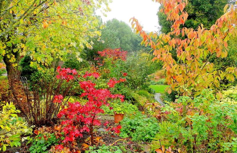 OUTDOOR LIVING:  Tips and tricks for autumn gardening