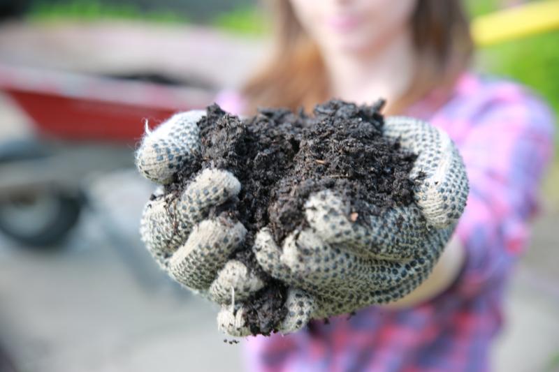 GARDENING:  Compost — from waste to garden wonder