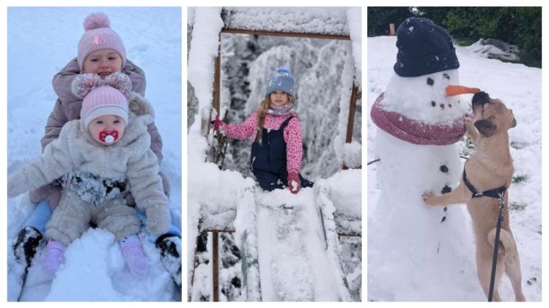 Snow photos: Mayo News users enjoy life in Winter Wonderland