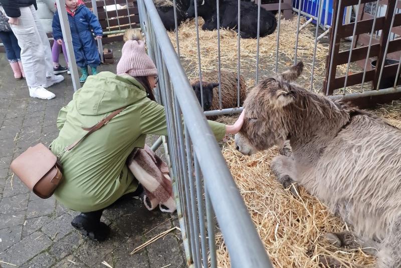 Christmas market and live crib at Turlough Park